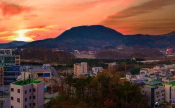 Wonju