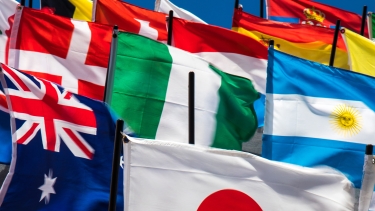 Interna flags