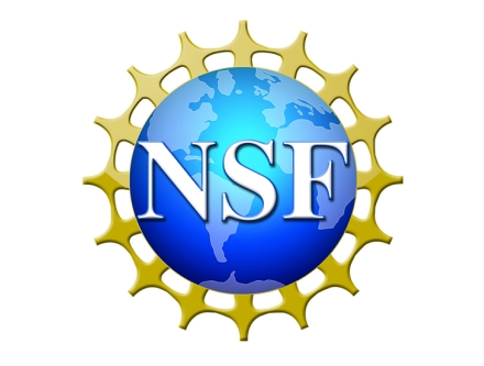 NSF Master Teacher Fellows in STEM