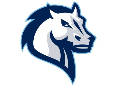 Mercy Maverick Mascot