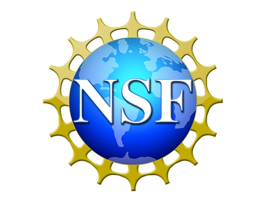 NSF Master Teacher Fellows in STEM