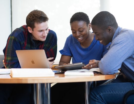 Students studying together
