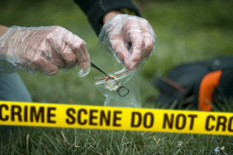 what do forensic scientists do
